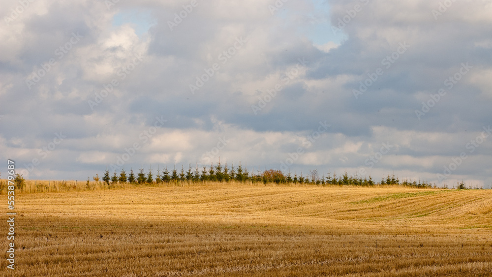 agricultural field in autumn, gray sky and clouds in the background
