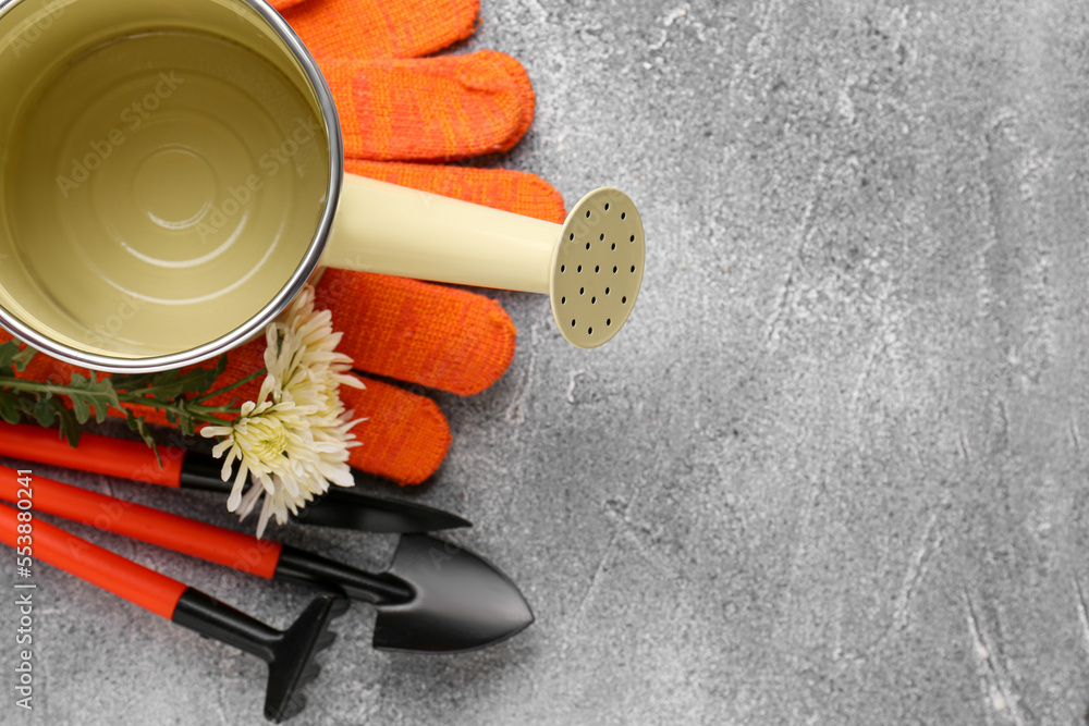 Watering can, gardening tools and beautiful flower on light grey background, flat lay. Space for text Watering can, gardening tools and beautiful flower on light grey background, flat lay. Space for text