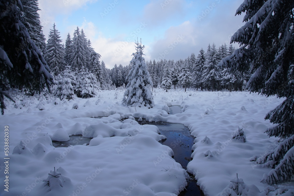 Winter 2022 Winter 2022