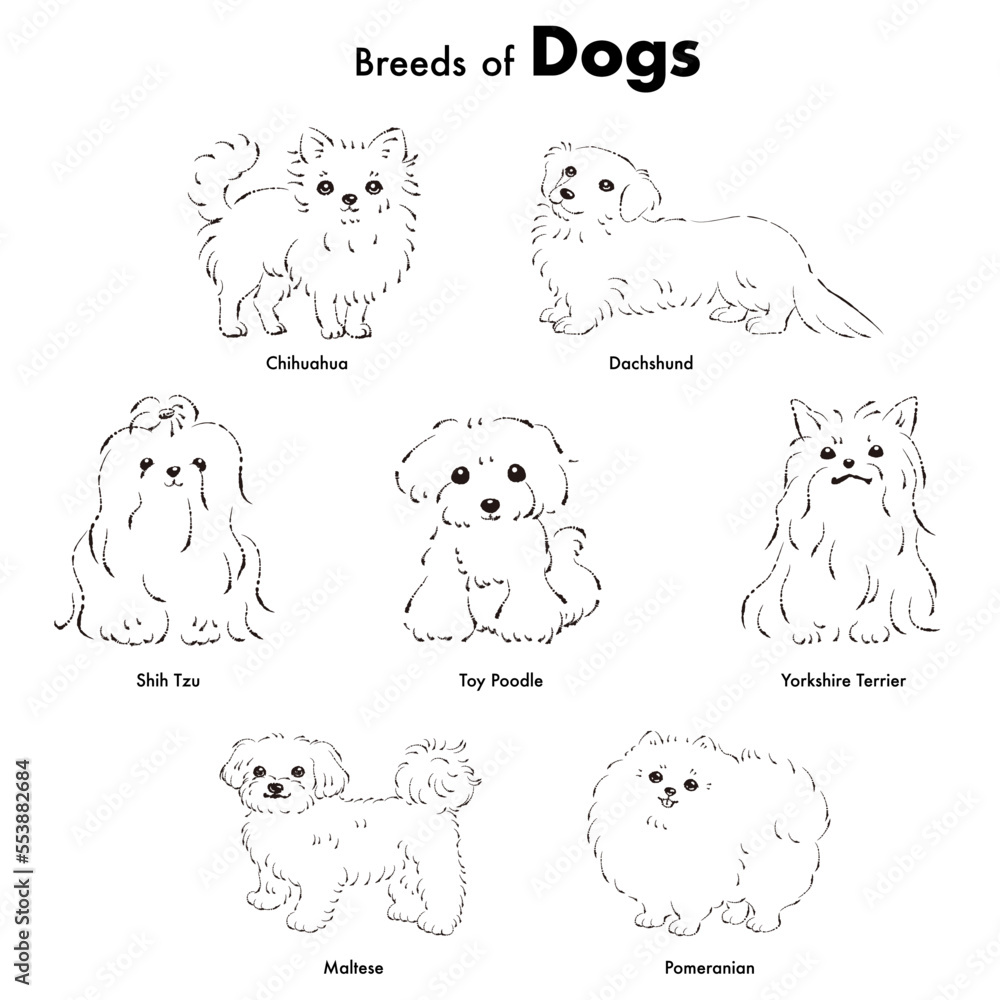 Obraz premium シンプルでかわいい人気の小型犬種 手描き線画ベクターイラストセット