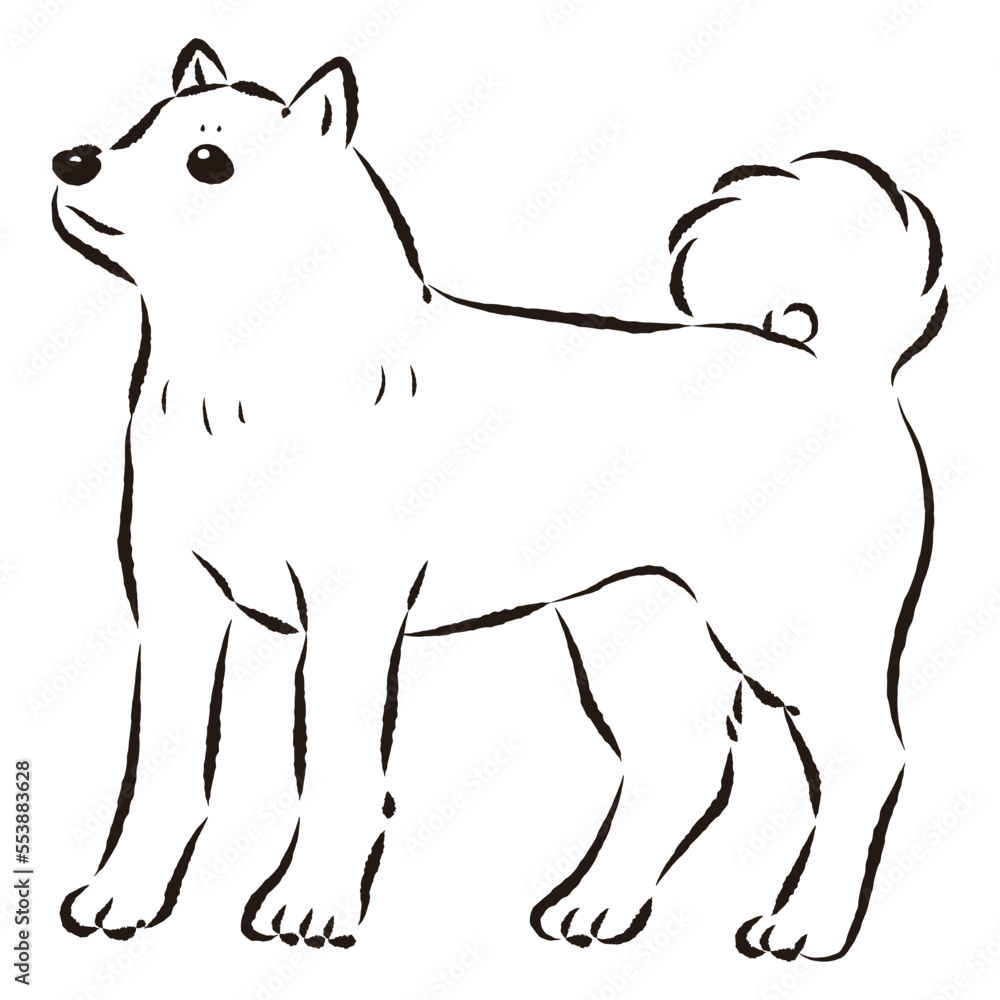 シンプルでかわいい柴犬 手描き線画ベクターイラスト シンプルでかわいい柴犬 手描き線画ベクターイラスト