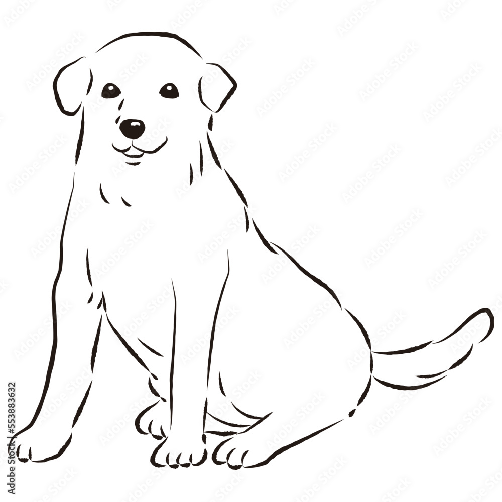 Fototapeta premium シンプルでかわいいラブラドールレトリバー 手描き線画ベクターイラスト