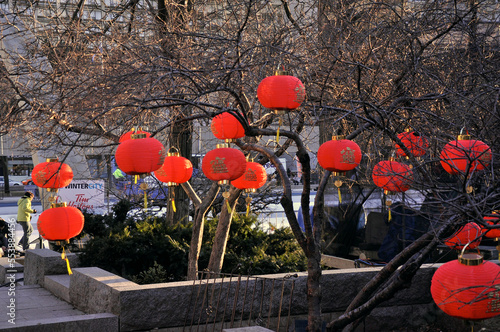Photography Chinese lanterns in Chinatown, Chinese new year decoration