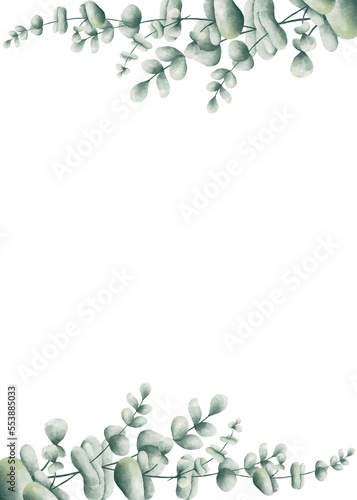 Eucalyptus watercolor green