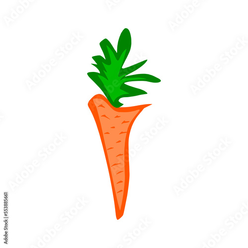 Carrot. Doodle illustration of carrots. Image for postcards and scrapbooking.