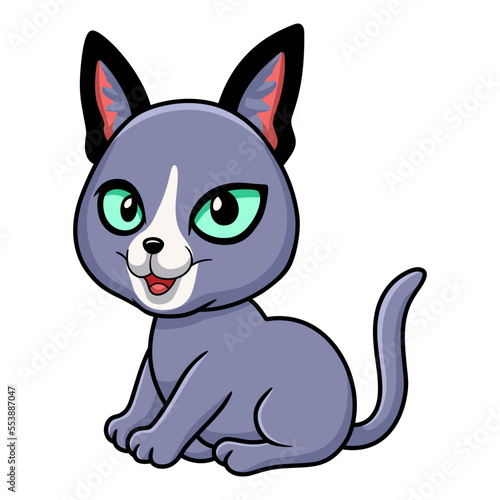 Cute russian blue cat cartoon