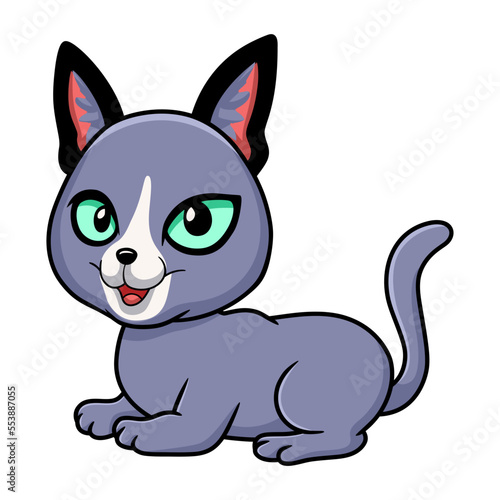 Cute russian blue cat cartoon