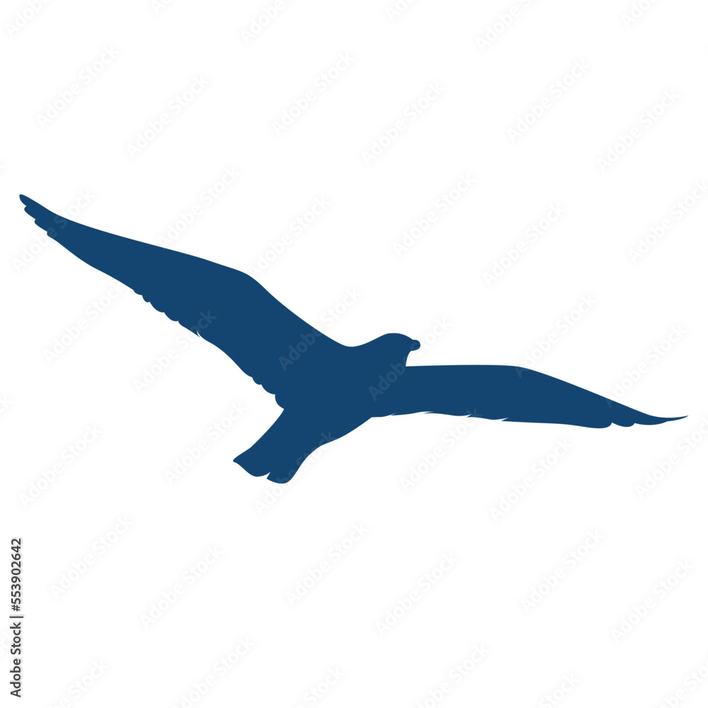 Bird Silhouette Bird Silhouette