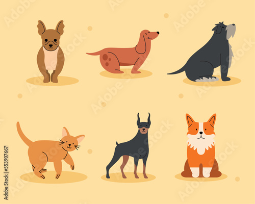 six animals mascots