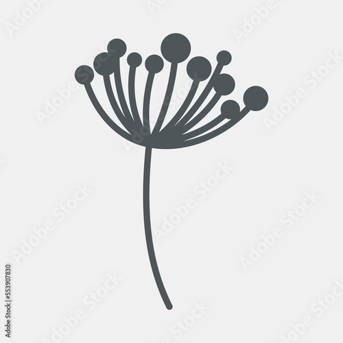 Fennel dill botany flower natural tree quality vector illustration cut