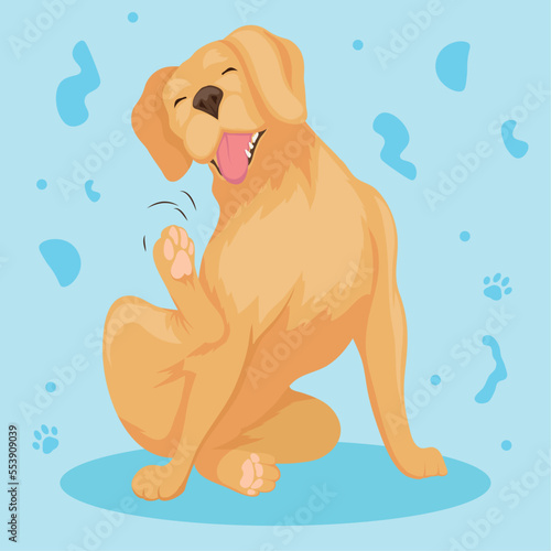 golden retriever dog