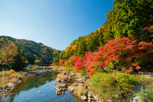 愛知県豊田市足助町　紅葉した秋の香嵐渓