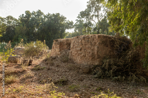 The ruins of a destroyed abandoned building on the territory of the Yarkon National Park, located near the city of Petah Tikva in the center of Israel