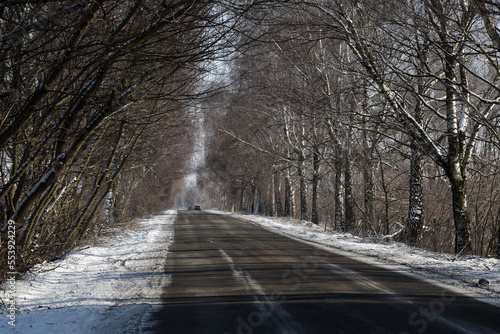 Road covered with trees in snowy winter