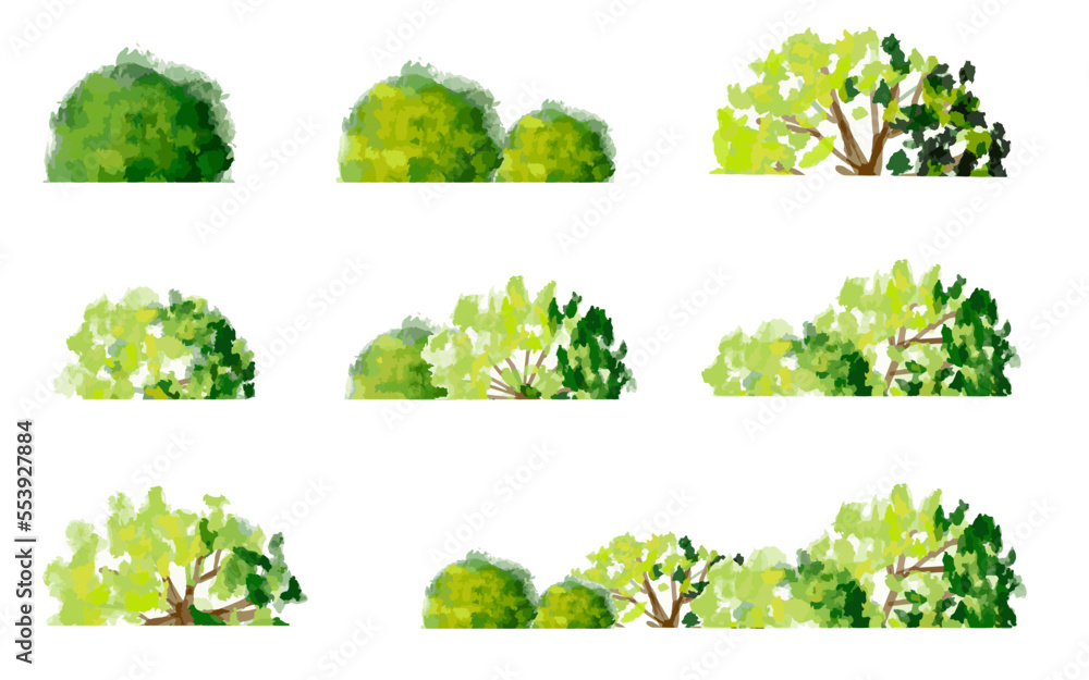 vector watercolor green tree side view isolated on white background for landscape and architecture drawing, elements for environment and garden,botanical elements for section in spring