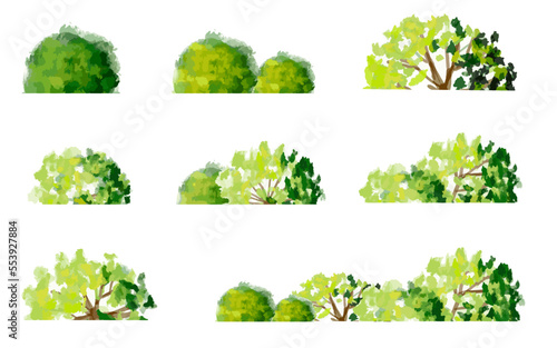 vector watercolor green tree side view isolated on white background for landscape and architecture drawing, elements for environment and garden,botanical elements for section in spring