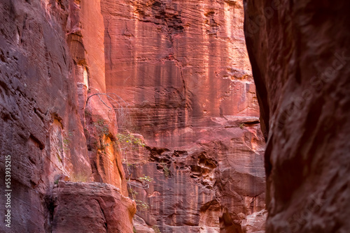 Al Siq Canyon in Petra, Jordan, pink red sandstone walls both sides
