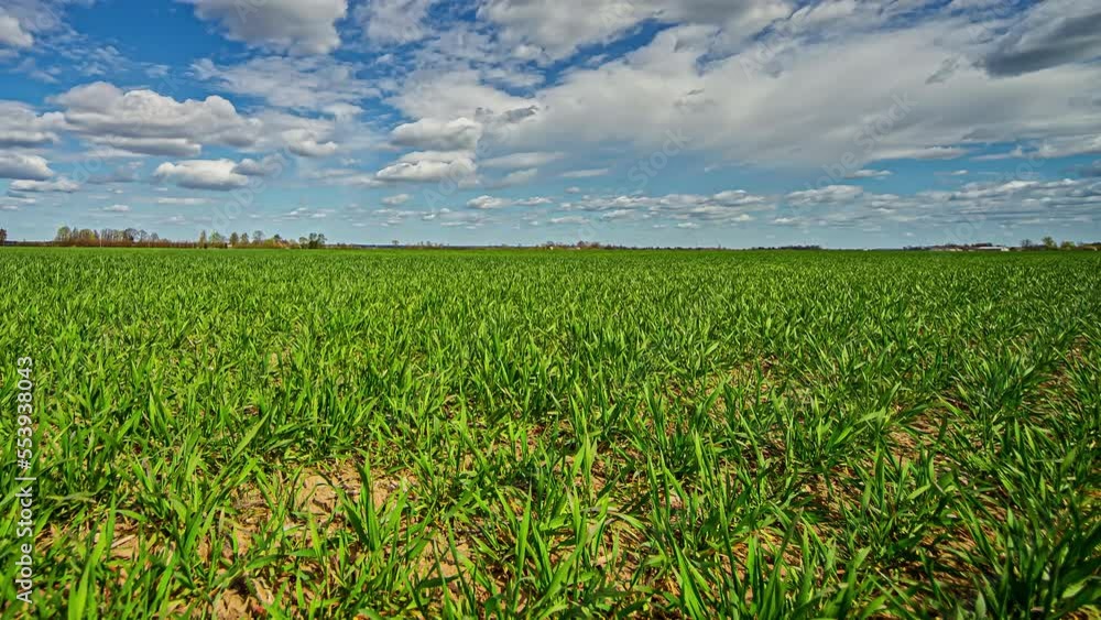 Timelapse of an Agricultural Field on a Sunny Day Timelapse of an Agricultural Field on a Sunny Day