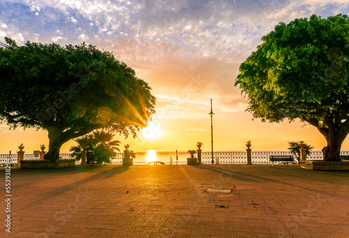 sunrise or sunset scenic view on a beautiful square with pavement, two beautiful green trees and amazing sky