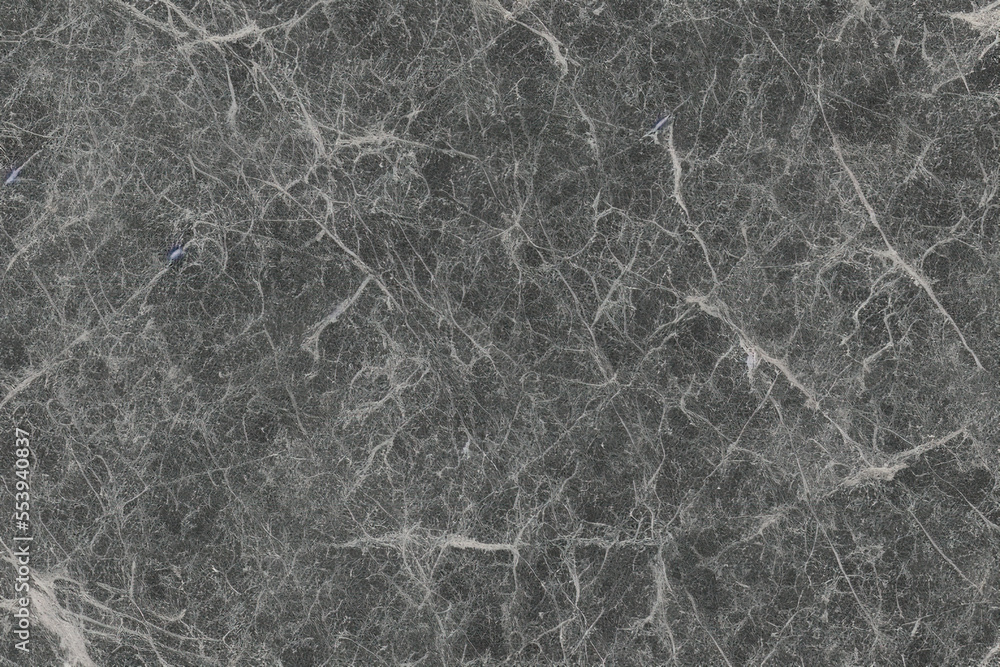 Fototapeta premium Marble fiber black and white background