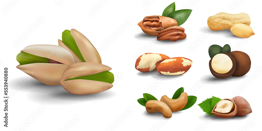 realistic 3d icons of nuts isolated on white background. A set of nuts. vector graphics. pistachios, pecans, peanuts, macadamias, Brazil nuts and cashews realistic 3d icons of nuts isolated on white background. A set of nuts. vector graphics. pistachios, pecans, peanuts, macadamias, Brazil nuts and cashews