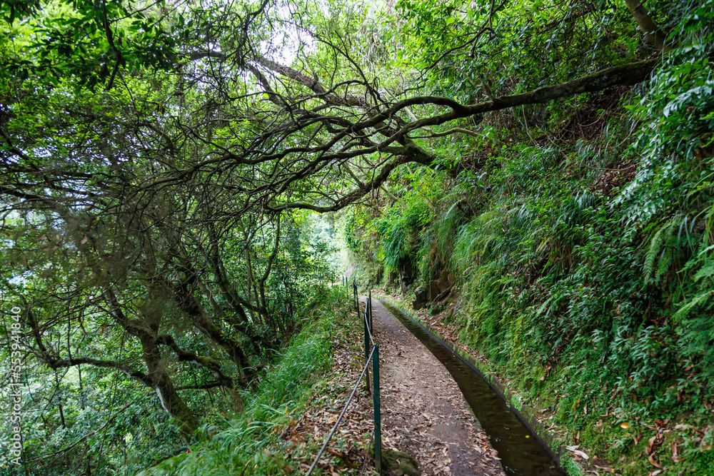 Hiking trail along Levada do Rei hike tour on Madeira island in