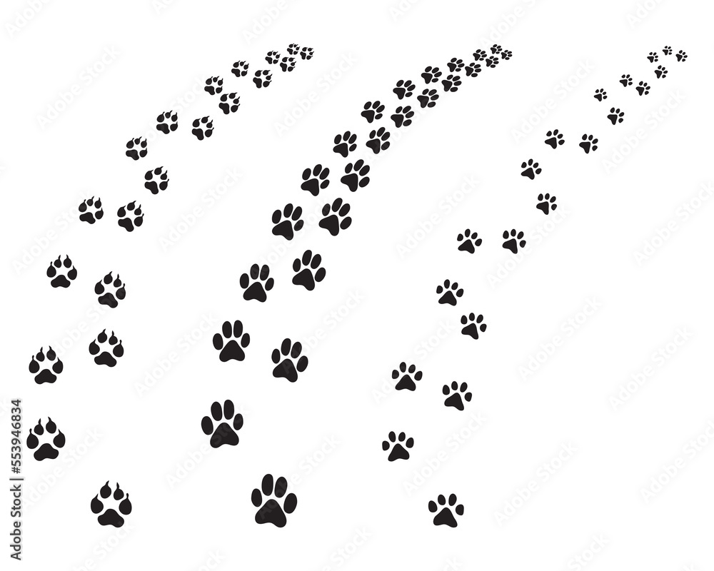 Black footprints of dogs, turning right or left, illustration on a white background Black footprints of dogs, turning right or left, illustration on a white background