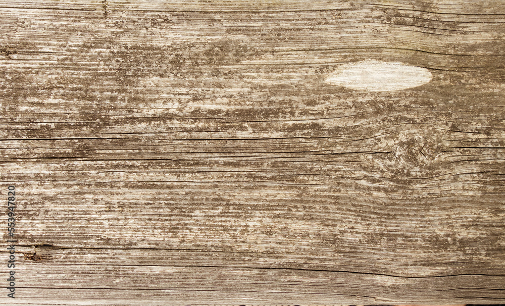Obraz premium Old rustic wood background texture