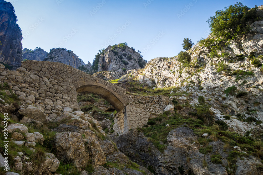 Stone bridge in Picos de Europa, Asturias, Spain