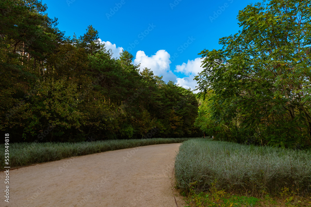 Jogging or hiking trail. City forest background photo. Jogging or hiking trail. City forest background photo.