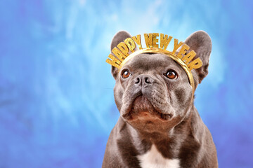 French Bulldog dog wearing New Year's Eve party celebration headband with text 'Happy new year' in front of blue background