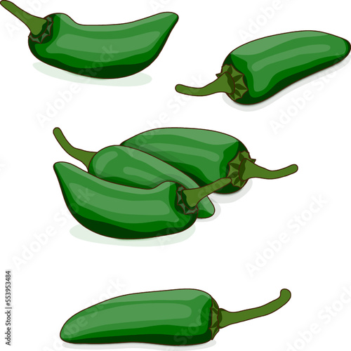 Group of Green Jalapeno chili peppers. Capsicum annuum. Chili pepper. Fresh organic vegetables. Cartoon style. Vector illustration isolated on white background.