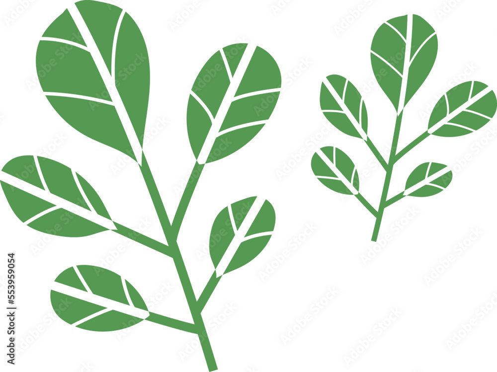 Set with hand drawn colorful doodle fruits and vegetables. Hand drawn Lettuce or cabbage leaves. Vector collection. Sketch style. Flat icons. Set with hand drawn colorful doodle fruits and vegetables. Hand drawn Lettuce or cabbage leaves. Vector collection. Sketch style. Flat icons.
