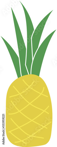 Set with hand drawn colorful doodle fruits and vegetables. Hand drawn pineapple. Vector collection. Sketch style. Flat icons.