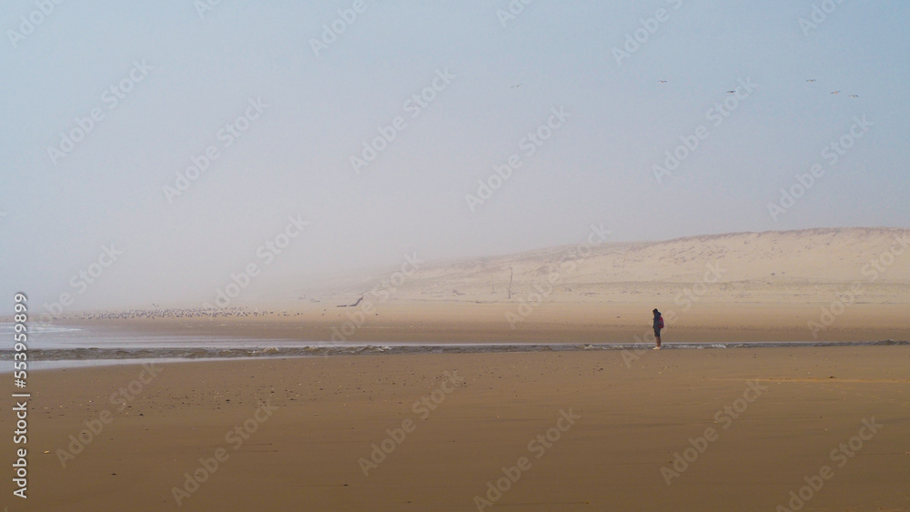 Coucher de soleil brumeux sur la plage de Moliets-et-Mâa, en période hivernale Coucher de soleil brumeux sur la plage de Moliets-et-Mâa, en période hivernale