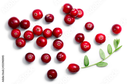 Cranberries (fruits of Vaccinium oxycoccus) with leaves, top view isolated png photo