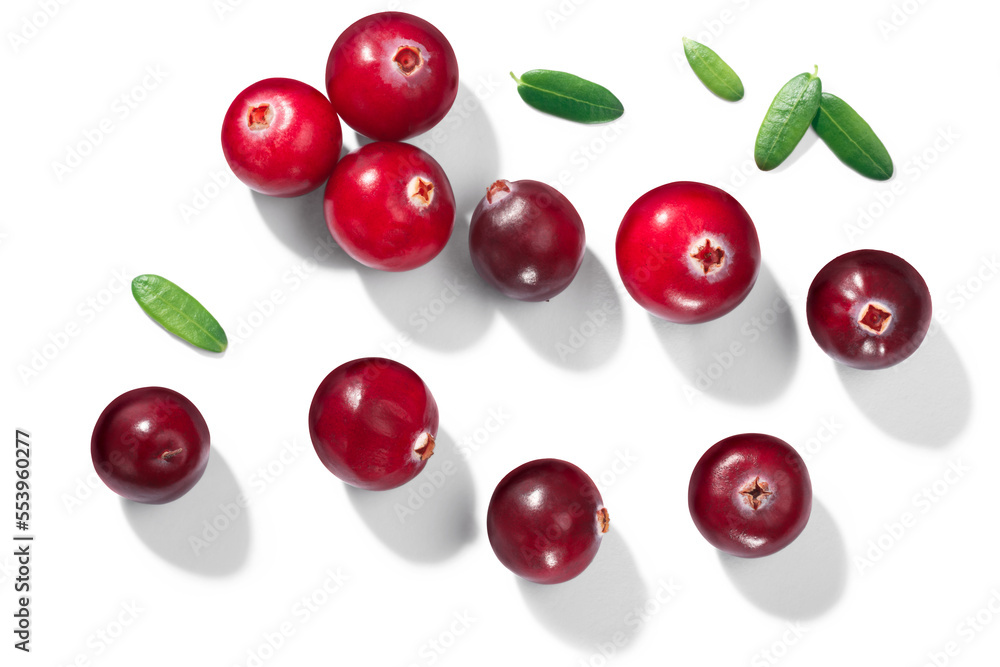 Cranberries (Vaccinium oxycoccus), top view isolated png Cranberries (Vaccinium oxycoccus), top view isolated png