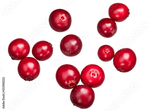 Lingonberry (fruits of Vaccinium vitis-idaea), top view isolated png