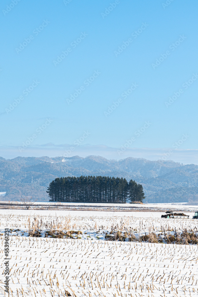 冬の北海道の風景 冬の北海道の風景