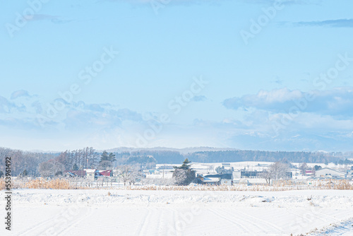 冬の北海道の風景