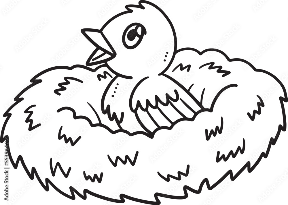Baby Bird Sitting in the Nest Isolated Coloring Baby Bird Sitting in the Nest Isolated Coloring