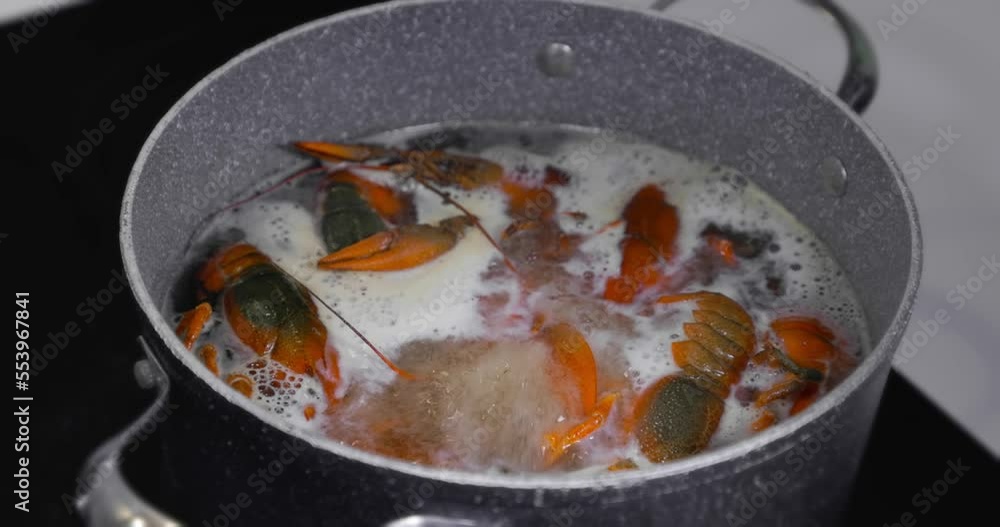 Live crayfish are thrown into boiling water for cooking. Cooking live crayfish. Live crayfish are thrown into boiling water for cooking. Cooking live crayfish.