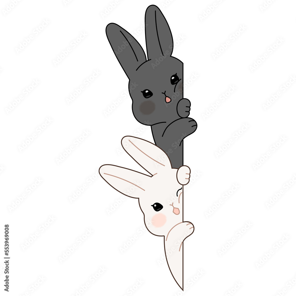 Two cute rabbits are hiding behind the wall. Black rabbit and white ...