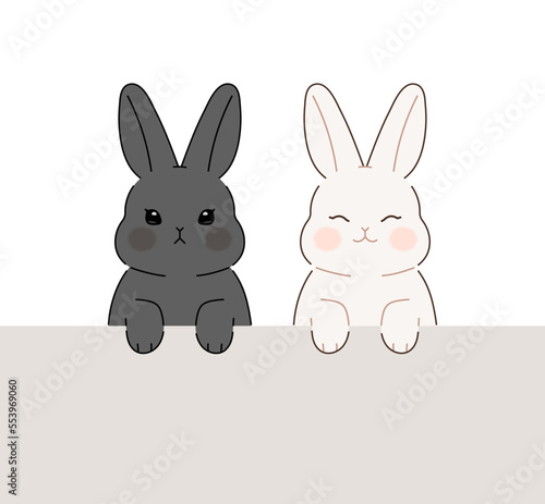 Two cute bunnies appeared on the wall. Black rabbit and white rabbit character upper body illustrations for your design.