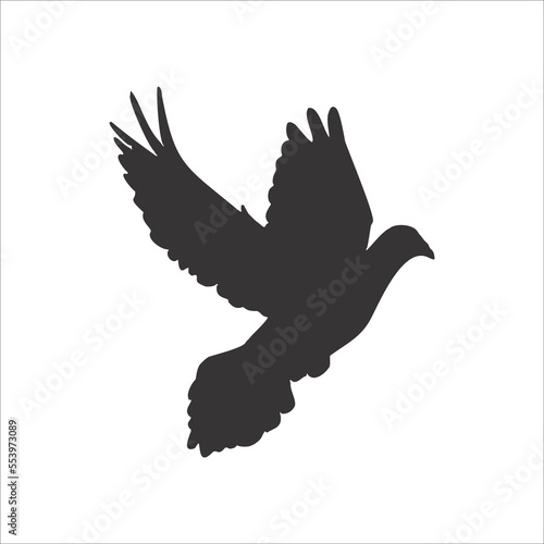 Beautiful black pigeon flying silhouette isolated on white background illustration 