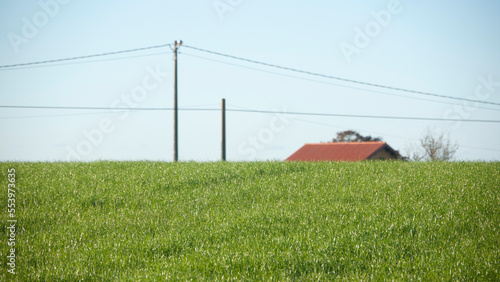Tejado de granja y postes de la luz tras loma de hierba verde 