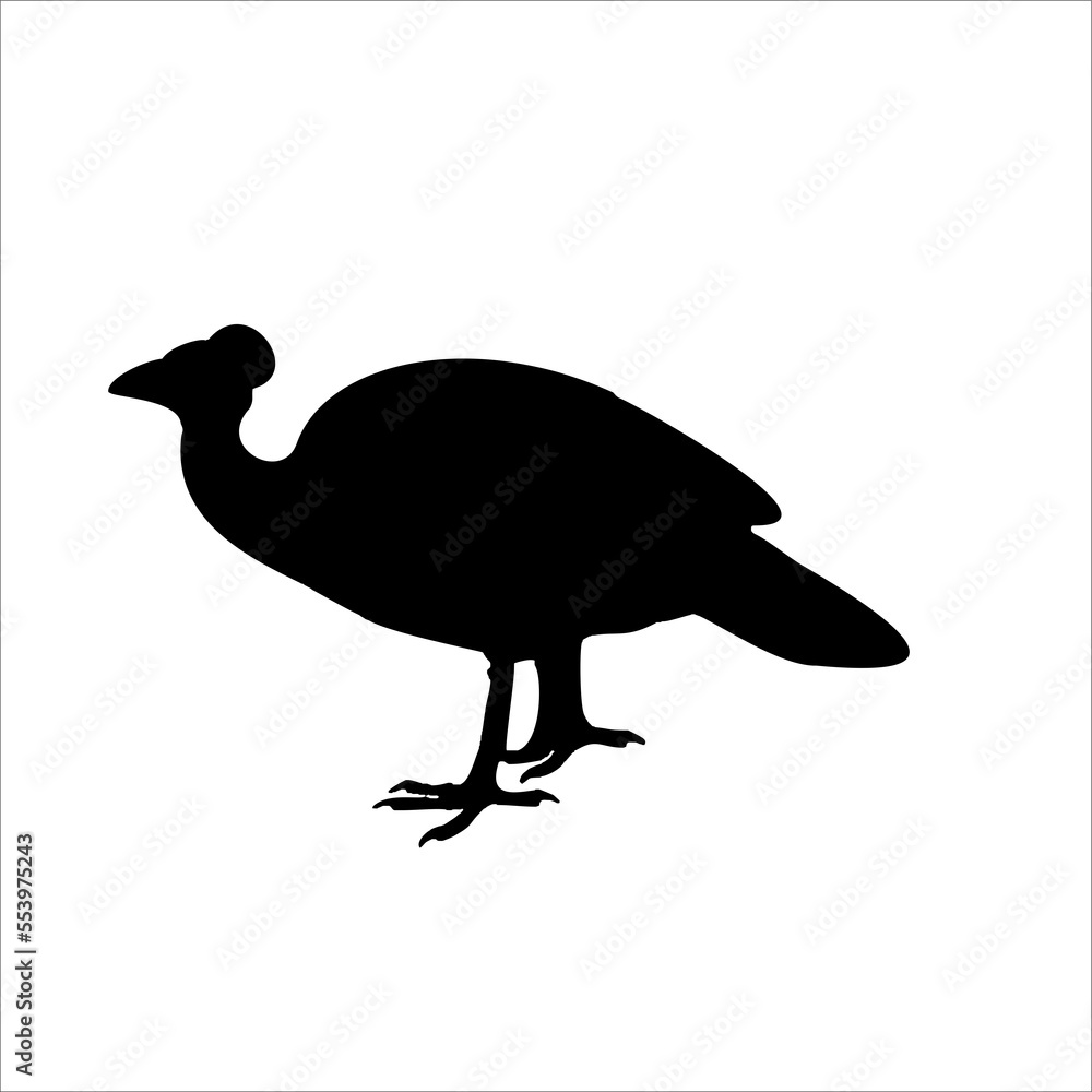 Fototapeta premium Beautiful black maleo bird silhouette isolated on white background illustration 