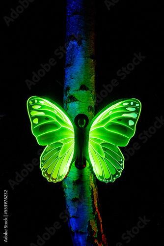 Illuminated Butterflies On A Tree On A Winter Light Trail photo