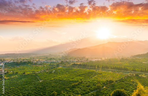 green beautiful valley with gardens and plantations and amazing mountains on background during sunset or sunrise photo