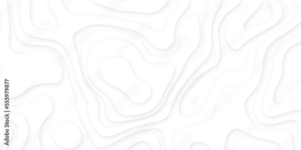 Abstract wavy line 3d paper cut white background. Topographic canyon geometric map relief texture with curved layers and shadow. Abstract realistic papercut decoration textured with wavy layers Abstract wavy line 3d paper cut white background. Topographic canyon geometric map relief texture with curved layers and shadow. Abstract realistic papercut decoration textured with wavy layers